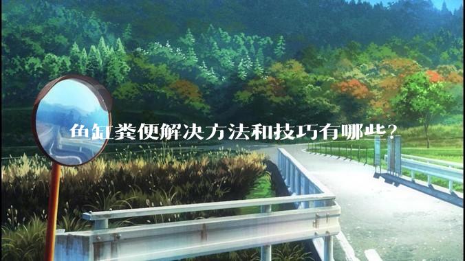 鱼缸粪便解决方法和技巧有哪些?