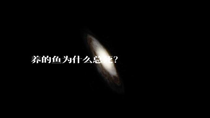 养的鱼为什么总死?