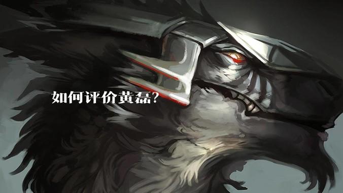如何评价黄磊?
