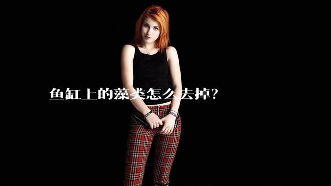 鱼缸上的藻类怎么去掉?