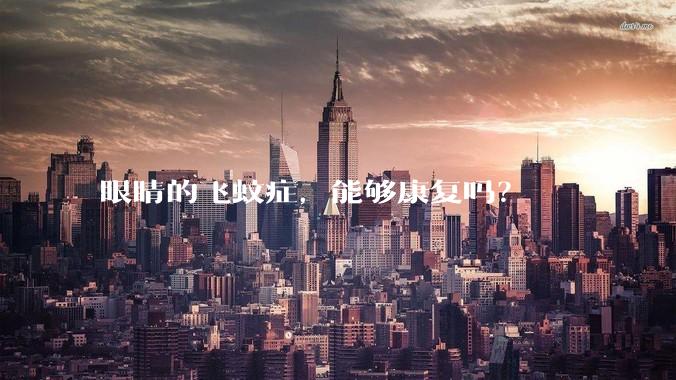 眼睛的飞蚊症,能够康复吗?