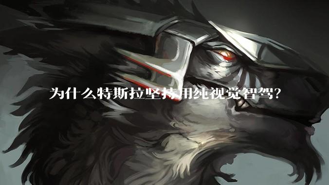 为什么特斯拉坚持用纯视觉智驾?