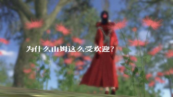 为什么山姆这么受欢迎?