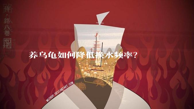 养乌龟如何降低换水频率?