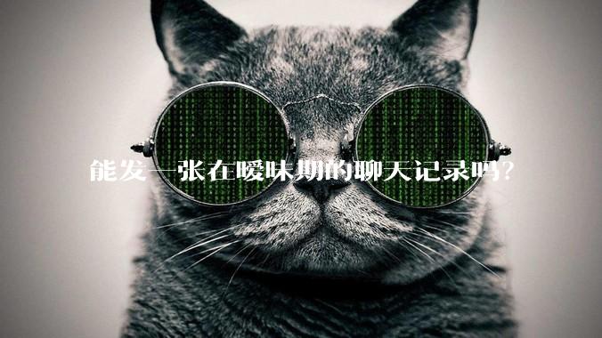 能发一张在暧昧期的聊天记录吗?