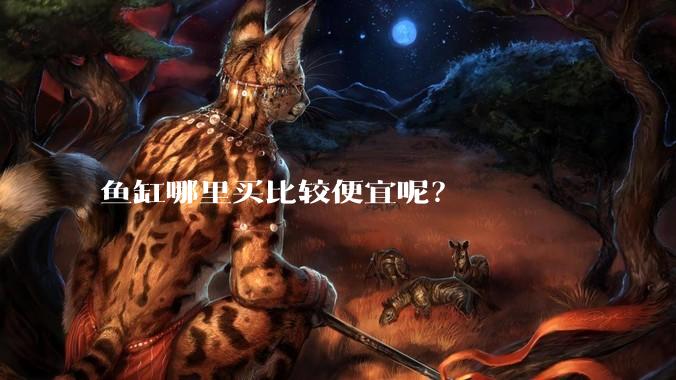 鱼缸哪里买比较便宜呢?