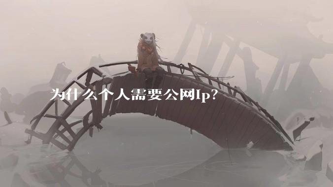 为什么个人需要公网ip?