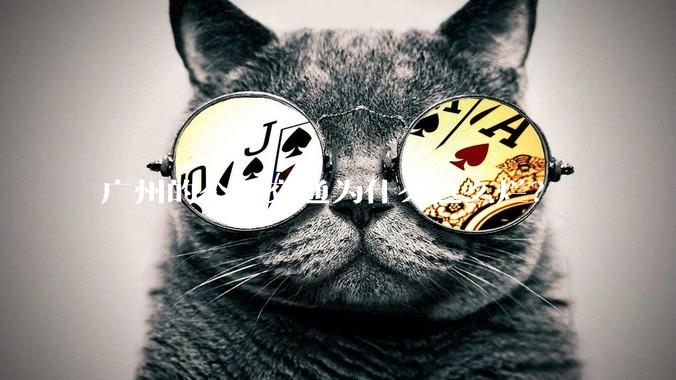 广州的公共交通为什么这么烂?