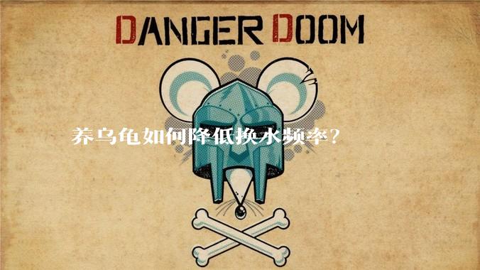 养乌龟如何降低换水频率?