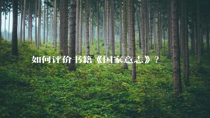 如何评价书籍《国家意志》?