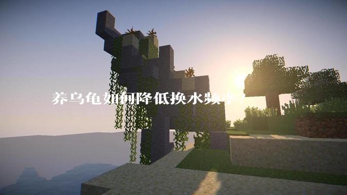 养乌龟如何降低换水频率?