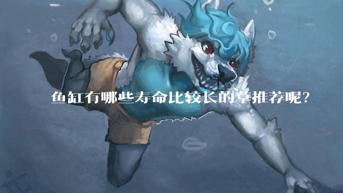 鱼缸有哪些寿命比较长的草推荐呢?