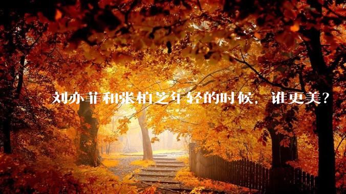 刘亦菲和张柏芝年轻的时候,谁更美?