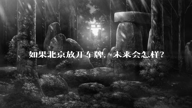 如果北京放开车牌,未来会怎样?