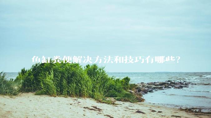 鱼缸粪便解决方法和技巧有哪些?