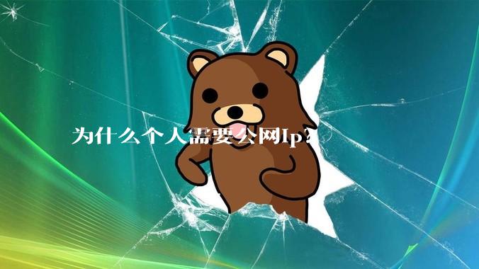 为什么个人需要公网ip?
